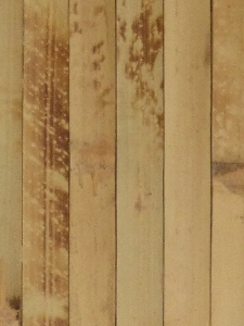 bambus wallcovering